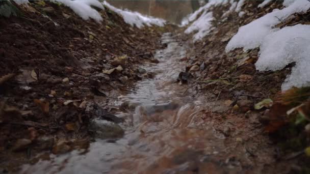 Uomo Prende Una Manciata Acqua Montagna — Video Stock