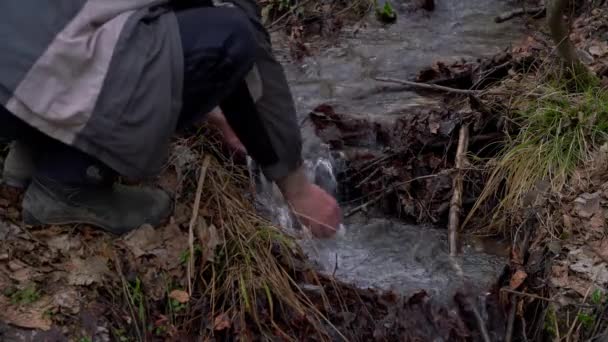 Człowiek Myje Ręce Potoku Lasu — Wideo stockowe