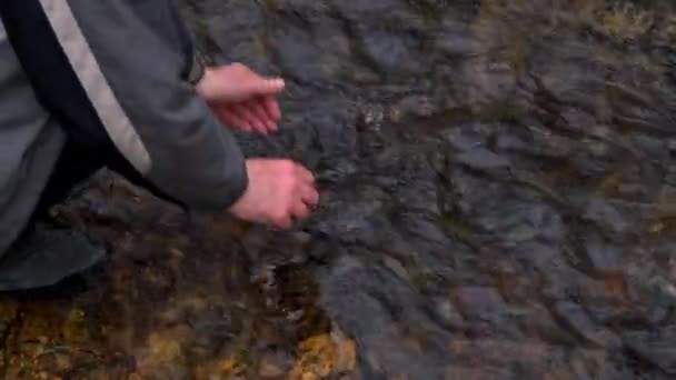 Человек Умывает Руки Лесном Ручье — стоковое видео
