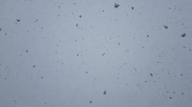 Gökten düşen büyük kar taneleri