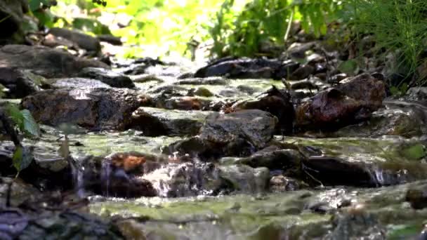 Mountain Creek Jasne Przepływów — Wideo stockowe