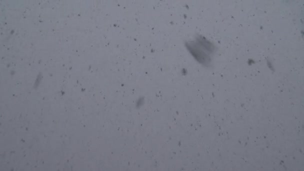 Неба Падают Большие Снежинки — стоковое видео