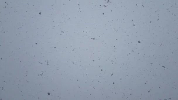 Grandes Flocos Neve Caindo Céu — Vídeo de Stock