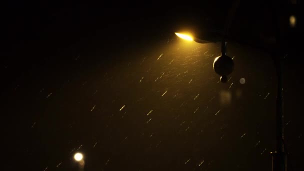 Primera Nieve Con Lluvia Cayendo Sobre Lámpara Calle Nocturna — Vídeos de Stock