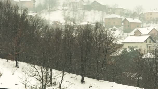 Paisagem Queda Neve — Vídeo de Stock