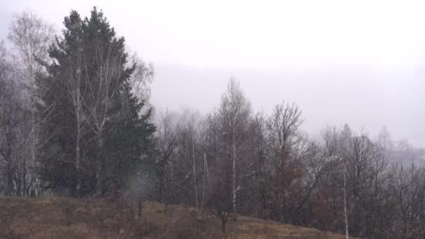 在第一场雪风景 — 图库视频影像