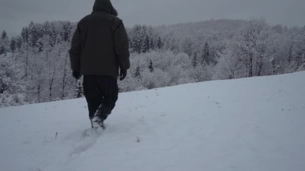 Άνθρωπος Πηγαίνει Βαθύ Χιόνι Στο Δάσος — Αρχείο Βίντεο