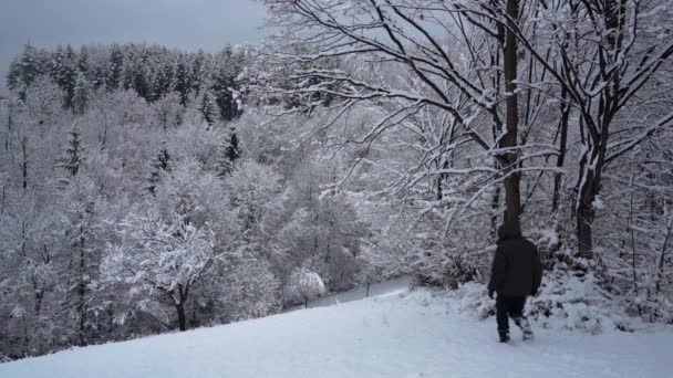 Man Gaat Diepe Sneeuw Naar Bos — Stockvideo