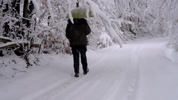 Homme Dans Neige Profonde Sous Les Branches Avec Parapluie — Video