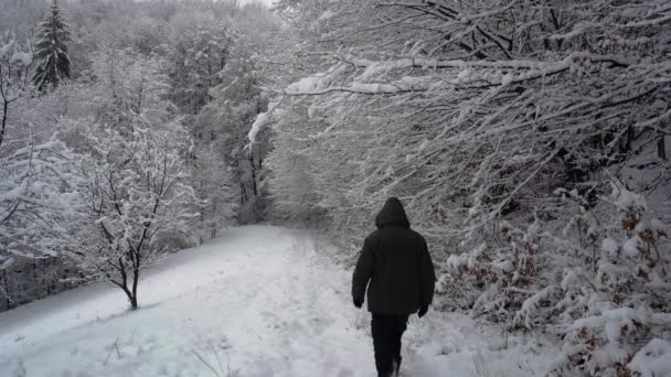 Человек Идет Глубоком Снегу Ветвями — стоковое видео
