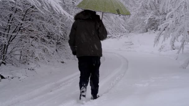 Hombre Nieve Profunda Bajo Ramas Con Paraguas — Vídeos de Stock