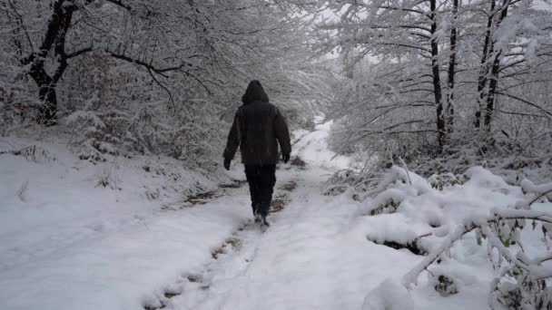 Uomo Nella Neve Profonda Sotto Rami — Video Stock