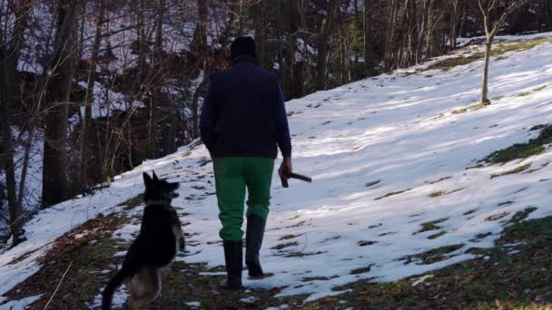 Mann Geht Mit Hund Wald — Stockvideo