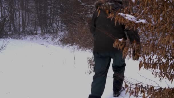 Uomo Vicino Alla Foresta Nella Neve — Video Stock