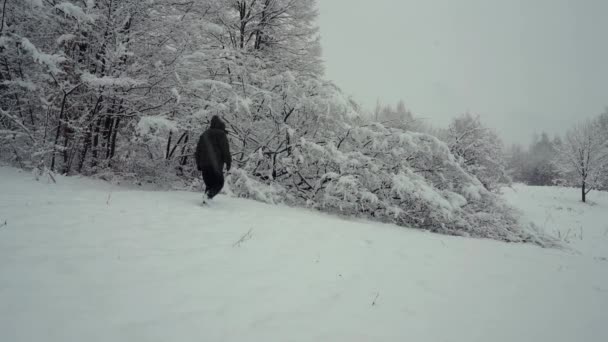 Homem Vai Para Árvore Abatida Neve Tocando — Vídeo de Stock