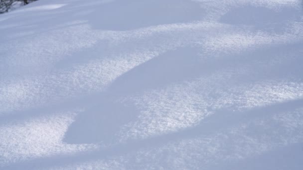Homem Passando Por Neve Profunda — Vídeo de Stock
