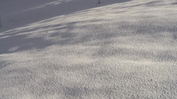 穿过深深的雪的人 — 图库视频影像