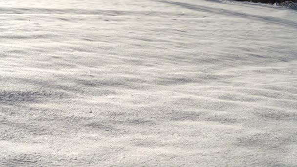 穿过深深的雪的人 — 图库视频影像