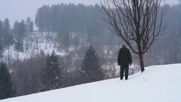 Uomo Piedi Accanto All Albero Guardando Neve Cadere Sulla Foresta — Video Stock
