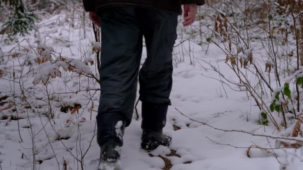 Mężczyzna Dotyka Snowy Oddziałów Idzie Lesie — Wideo stockowe