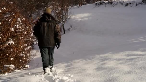 Man Touches Snowy Branches Goes Forest — Stock Video