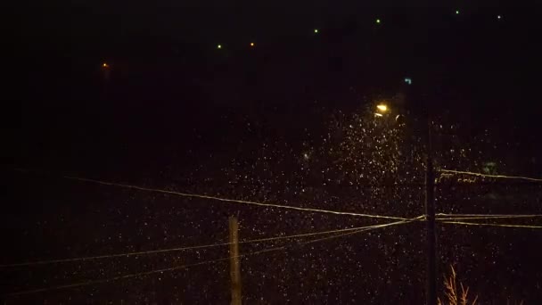 Χιόνι Πέφτει Βράδυ Στο Φωτισμό Του Δρόμου — Αρχείο Βίντεο