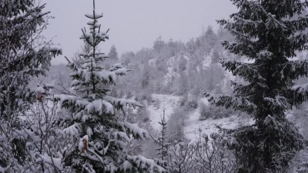 Großer Schnee Den Bergen — Stockvideo