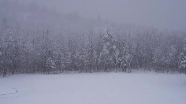 Großer Schnee Den Bergen — Stockvideo