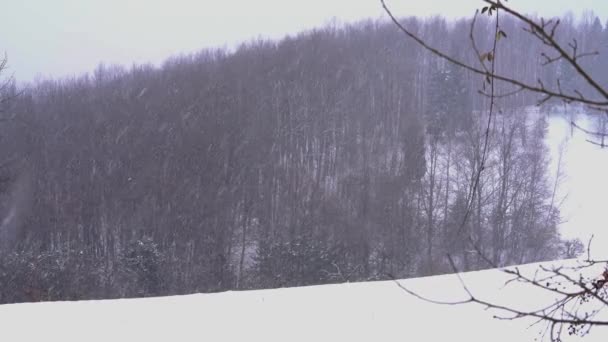 大きな雪の山 — ストック動画