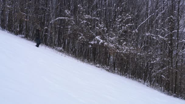 男が雪に覆われた丘の森林に沿って行く — ストック動画