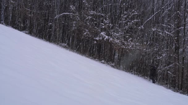 男が傘で雪に覆われた丘の上の森に沿って行く — ストック動画