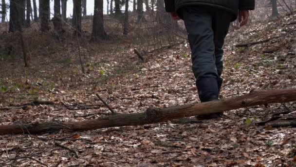 Man Går Vägen Genom Skogen — Stockvideo