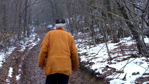 Člověk Jde Cestě Lesem Zimní — Stock video