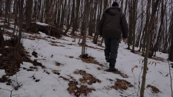 Άνθρωπος Περνά Μέσα Από Χιονισμένο Δάσος — Αρχείο Βίντεο