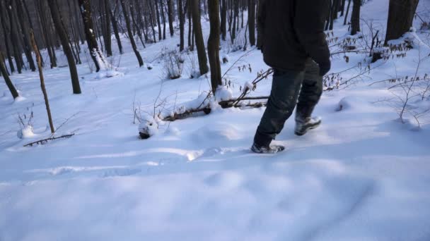 Hombre Atraviesa Bosque Nevado — Vídeo de stock