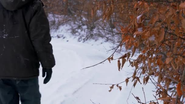 Hombre Atraviesa Camino Del Bosque Nevado — Vídeo de stock