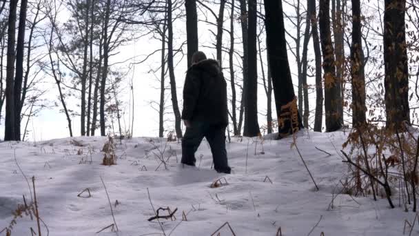 Hombre Atraviesa Camino Del Bosque Nevado — Vídeo de stock