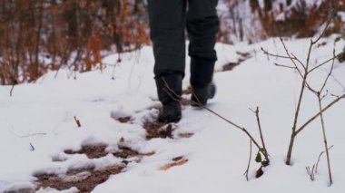 Erkek karlı orman yolundan gider