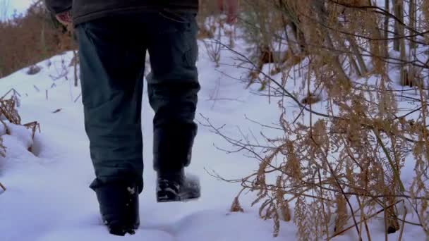 Hombre Atraviesa Camino Del Bosque Nevado — Vídeos de Stock