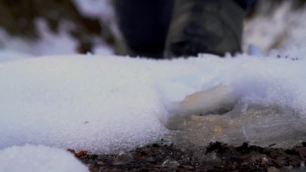 Hombre Atraviesa Camino Del Bosque Nevado — Vídeo de stock