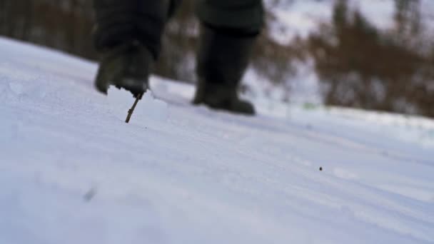 Άνθρωπος Περνά Μέσα Από Χιονισμένο Δάσος Μονοπάτι — Αρχείο Βίντεο