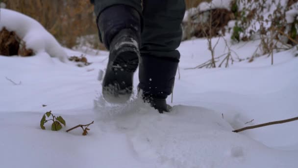 Man Gaat Door Besneeuwde Bospad — Stockvideo