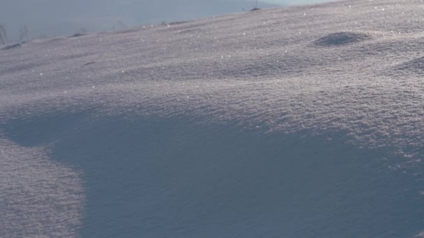 人类穿过雪白的森林小路 — 图库视频影像