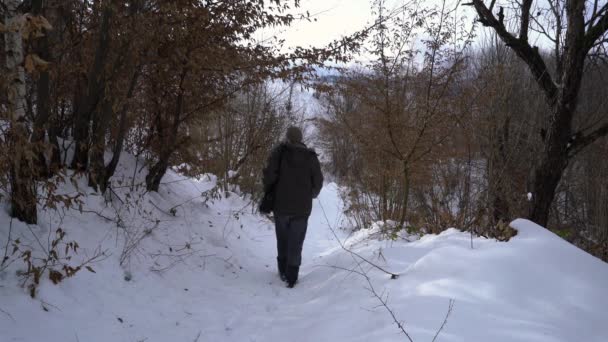 男は雪の森の道を行く — ストック動画