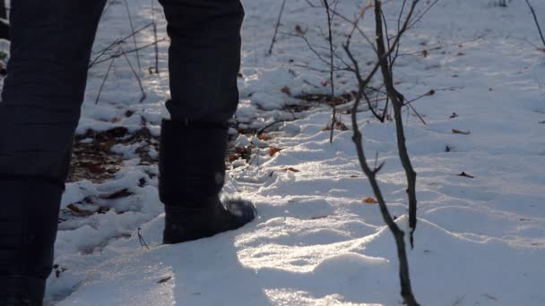 人类穿过雪白的森林小路 — 图库视频影像