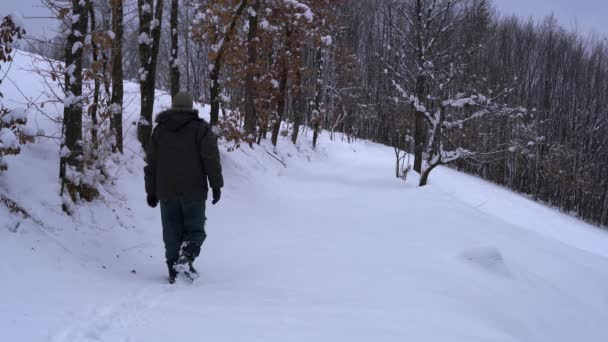 男は雪の森の道を行く — ストック動画