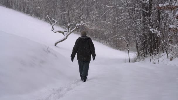 男は雪の森の道を行く — ストック動画