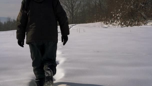 Mann Durchquert Verschneiten Waldweg — Stockvideo