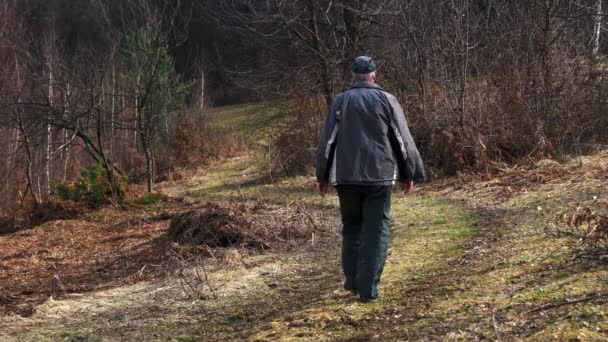 Mann Durchquert Frühlingswaldweg — Stockvideo