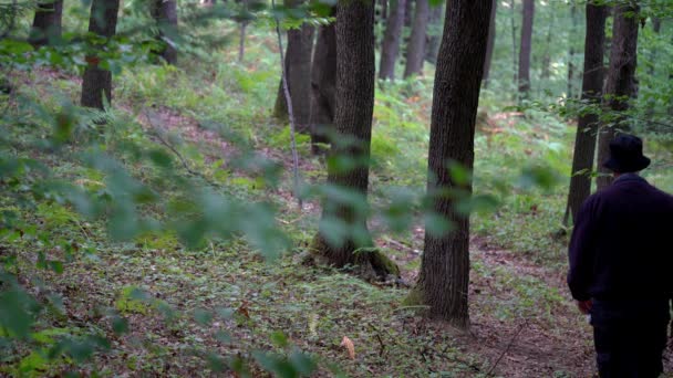 Mann Geht Durch Wald — Stockvideo